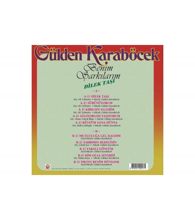 Gülden Karaböcek Benim Şarkılarım / Dilek Taşıı 33 Lp