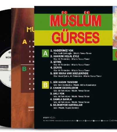Müslüm Gürses Gitme 33-Lp